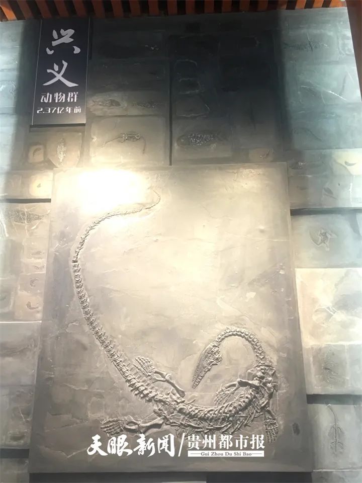 DƬ